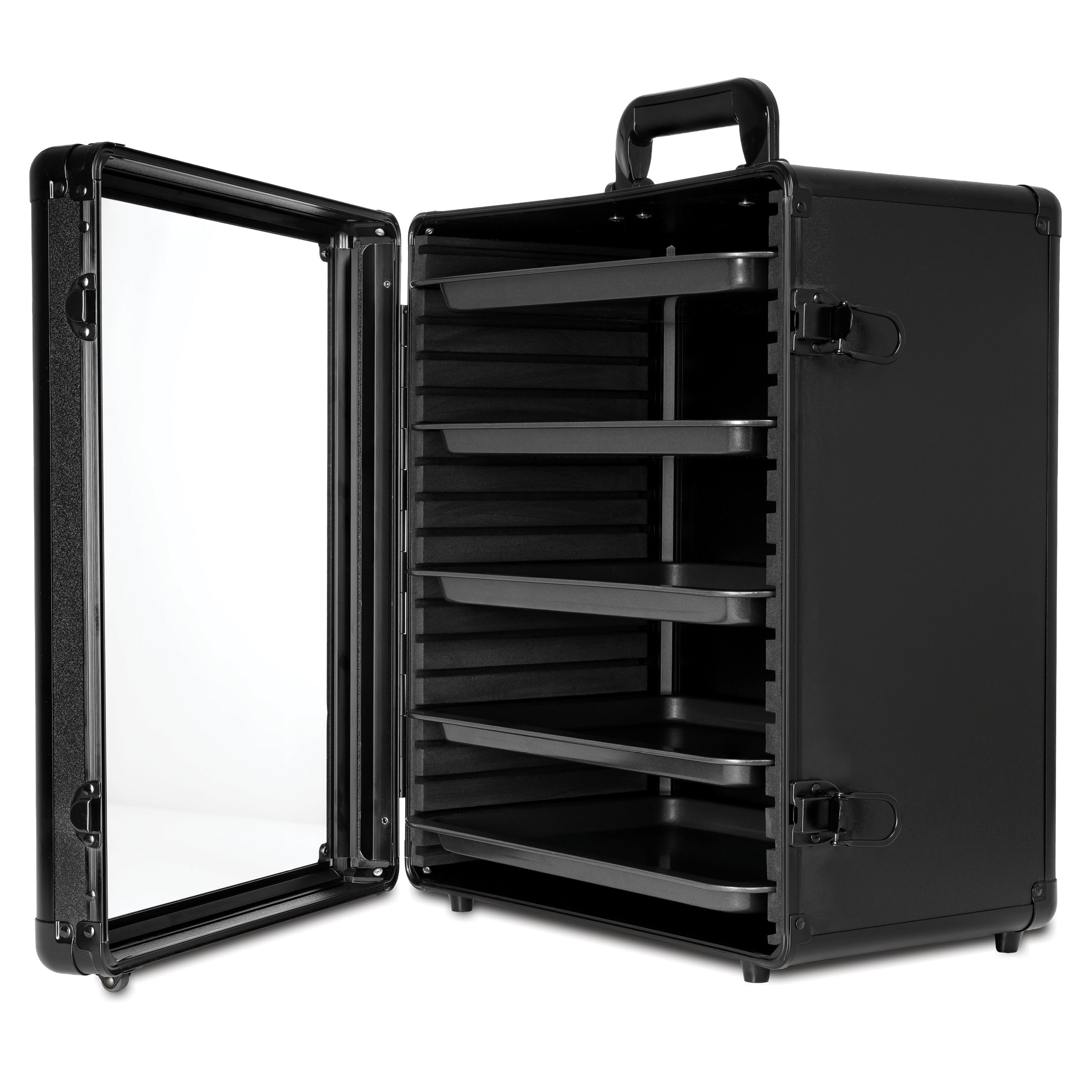AegisVault