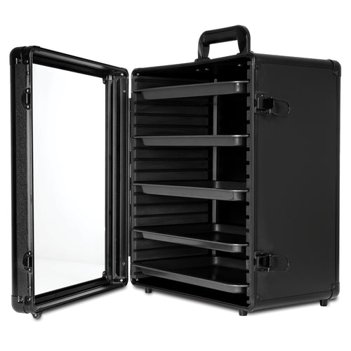 AegisVault