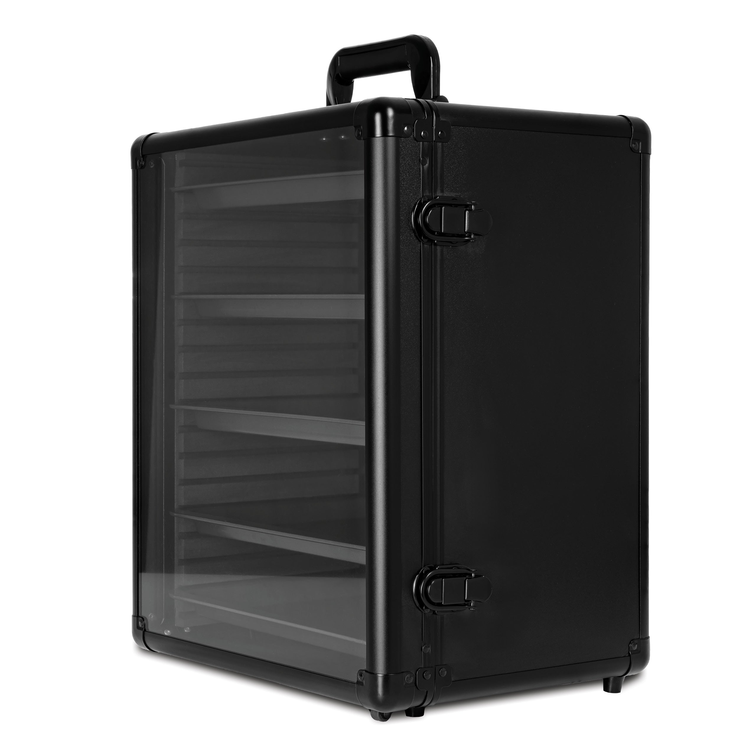 AegisVault
